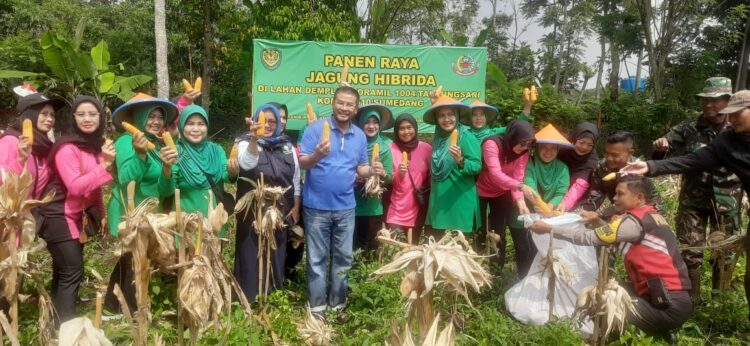 Panen Jagung Hibrida Dalam Rangka Memenuhi Ketahanan Pangan Khususnya di Wilayah Tanjungsari.