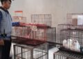 UPTD PPKH DISKANAK Terima Penitipan Hewan Saat Libur Lebaran