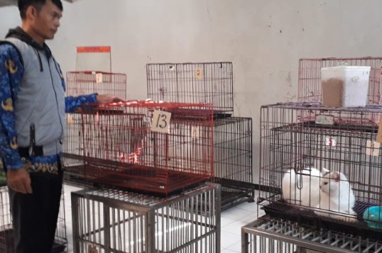 UPTD PPKH DISKANAK Terima Penitipan Hewan Saat Libur Lebaran